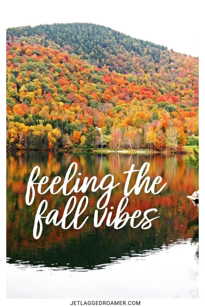 One of the fall Instagram captions saying "feeling the fall vibes." Colorful fall leaves near a river. 