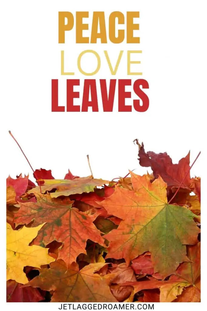 Colorful fall leaves and a fall Instagram caption saying "peace, love, leaves."