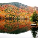 Fall Instagram captions photo of colorful fall leaves by a river.