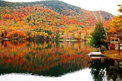 Fall Instagram captions photo of colorful fall leaves by a river.