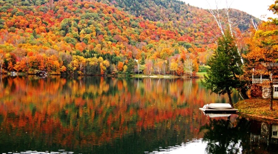 Fall Instagram captions photo of colorful fall leaves by a river.