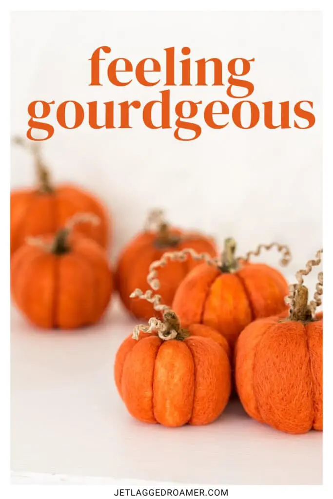 Caption for pumpkin patch pics "feeling gourdgeous." Pumpkins. 