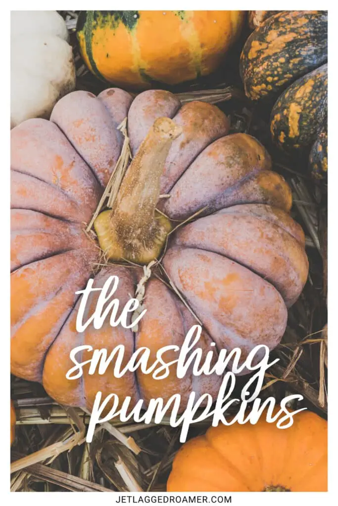One of the pumpkin picking captions "the smashing pumpkins." Pumpkins. 