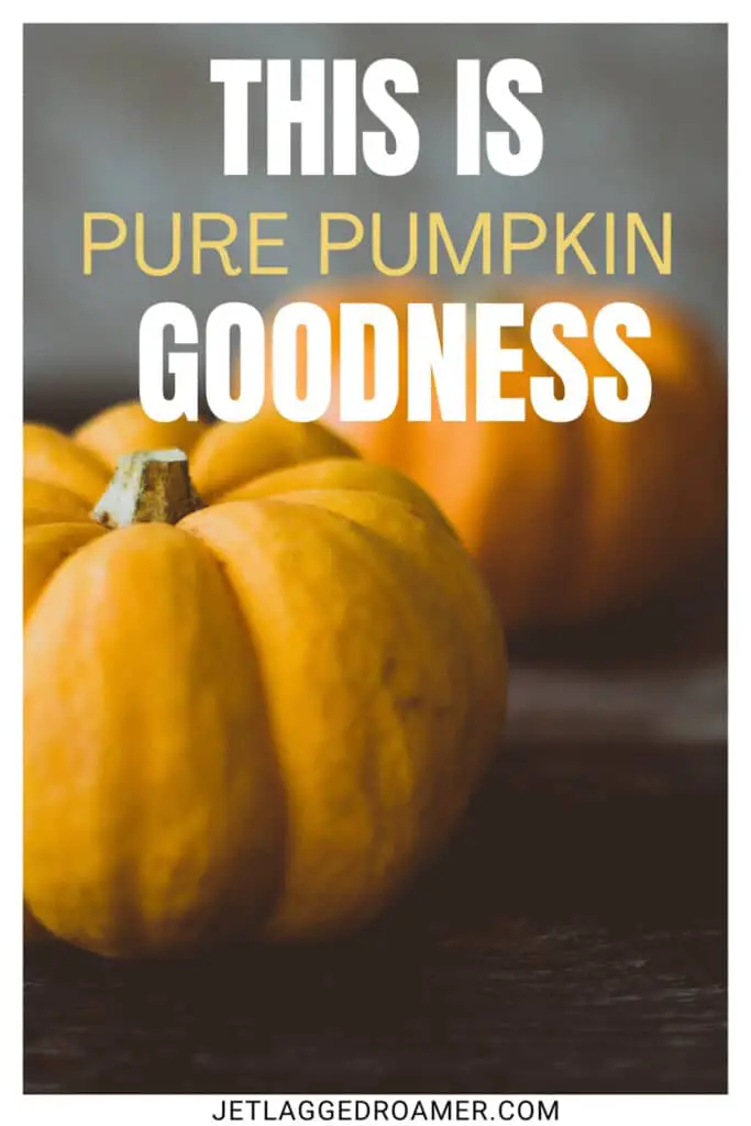 Pumpkin patch captions for Instagram photo of pumpkins. Caption says "this is pure pumpkin goodness."