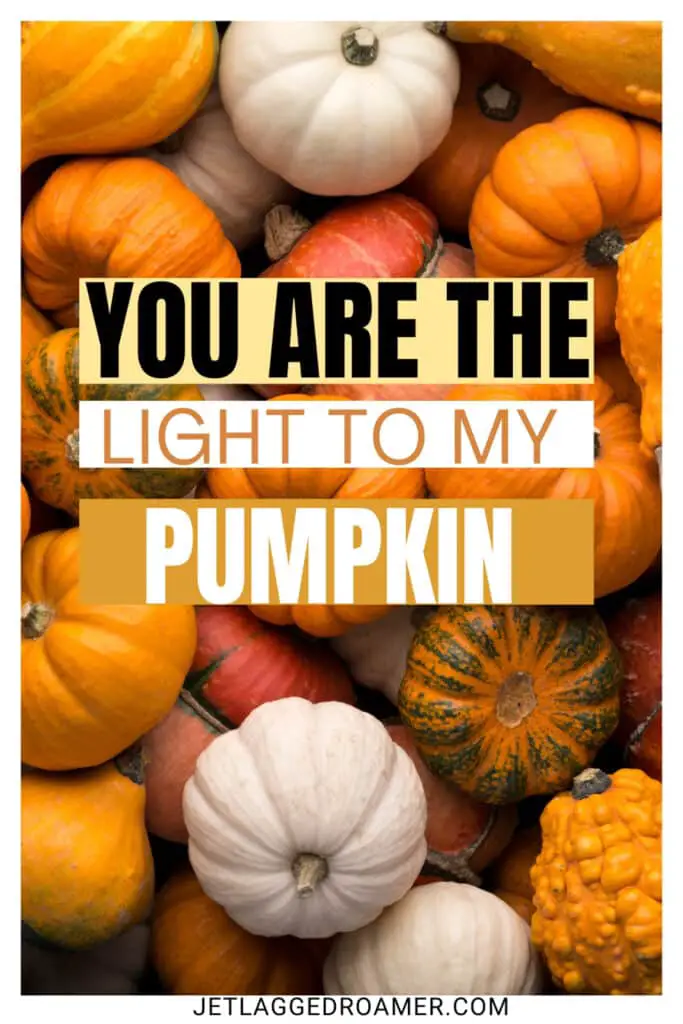 Pumpkin patch captions for Instagram photo of colorful pumpkins. Caption says "you are the light to my pumpkin."