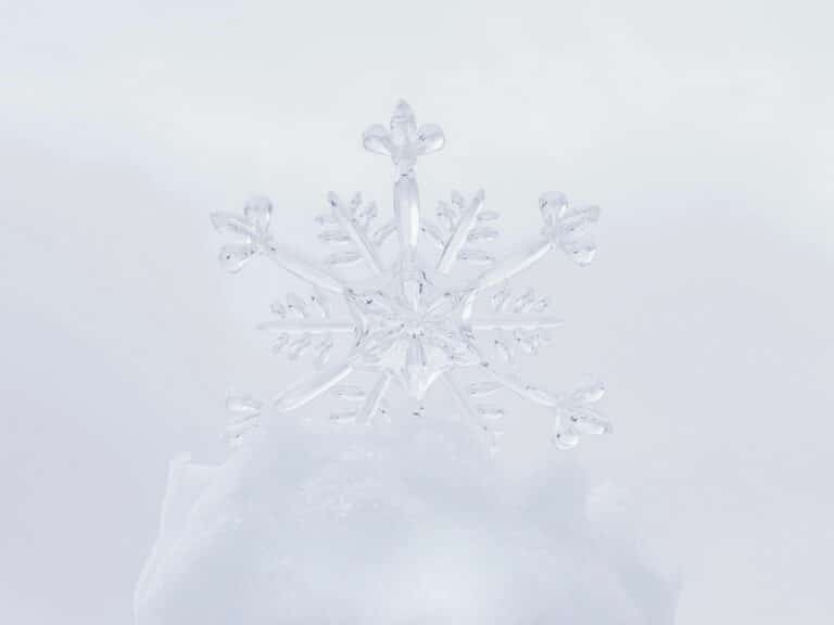 Snowflake Instagram captions photo of a snowflake.