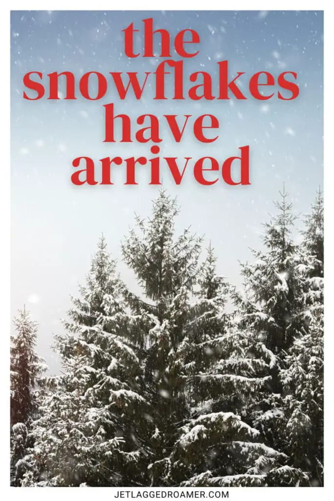 One of the snowflake Instagram captions photos of snowy trees. Caption says "the snowflakes have arrived."