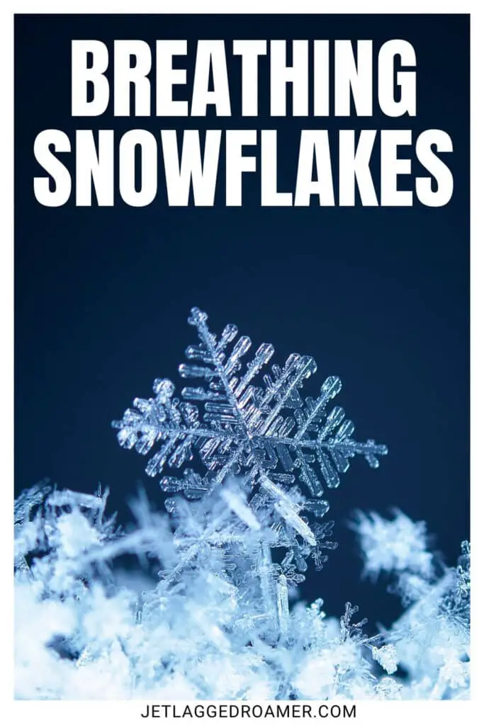 Snowflake. One of the snowflake Instagram captions that says "breathing snowflakes."
