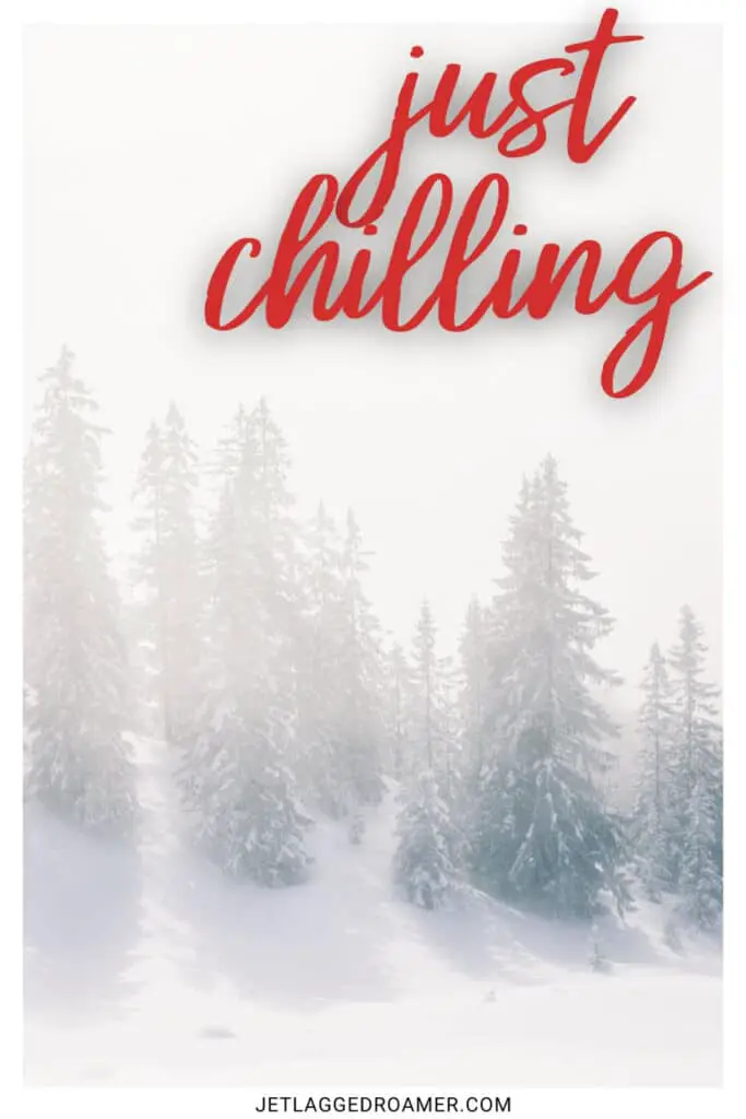 snowflake Instagram captions photo of a wintery forest. Caption says "just chilling."