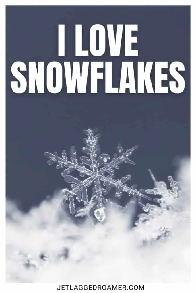 Snow captions for Instagram photo of one snowflake. Caption says "I love snowflakes."