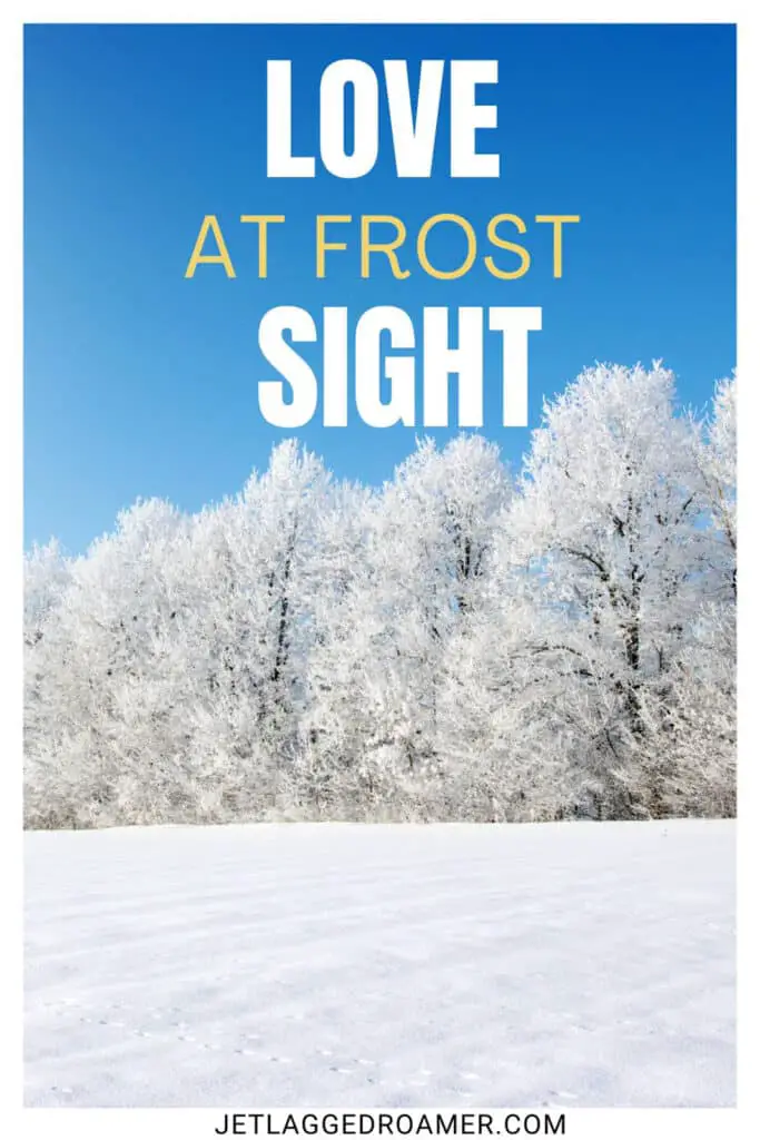Snow captions for Instagram photo of a snowy forest. Caption says "love at frost sight."