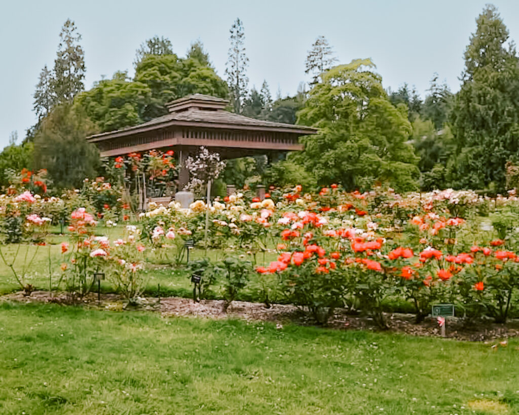 One of the day trips from Seattle to Tacoma. 