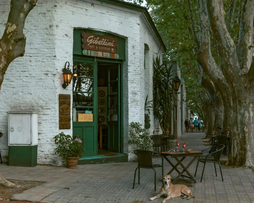 One of the things to do in Colonia del Sacramento is strolling the streets. Restaurant in things to do in Colonia del Sacramento, Uruguay.