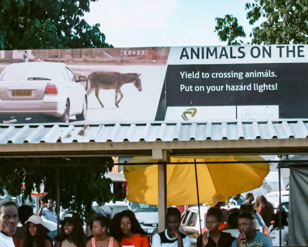 Botswanans standing at a bus stop in Maun, Botswana. 