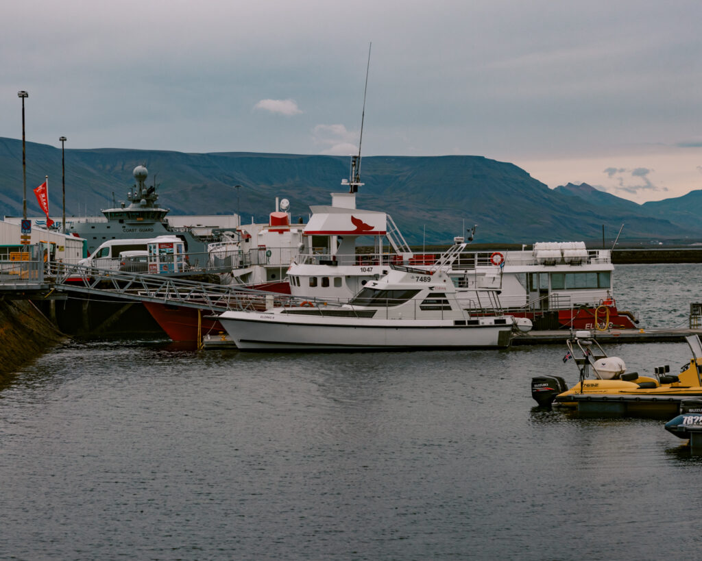 Reykjavik, Iceland's waterfront. One of the things to do in Reykjavik. 